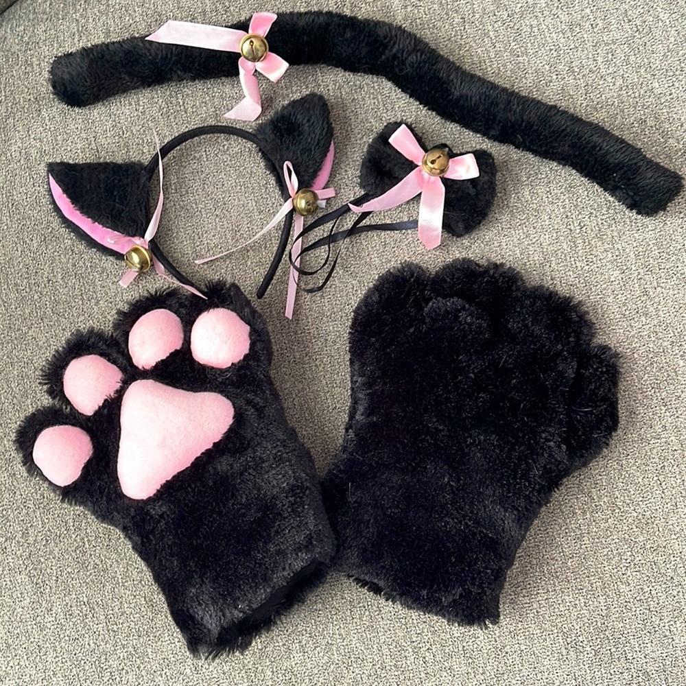 Cat costume accessories